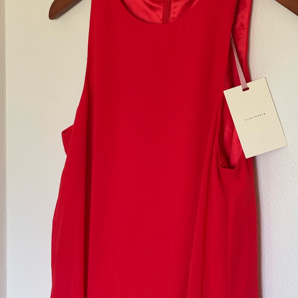Alex Marie Red Mini Dress